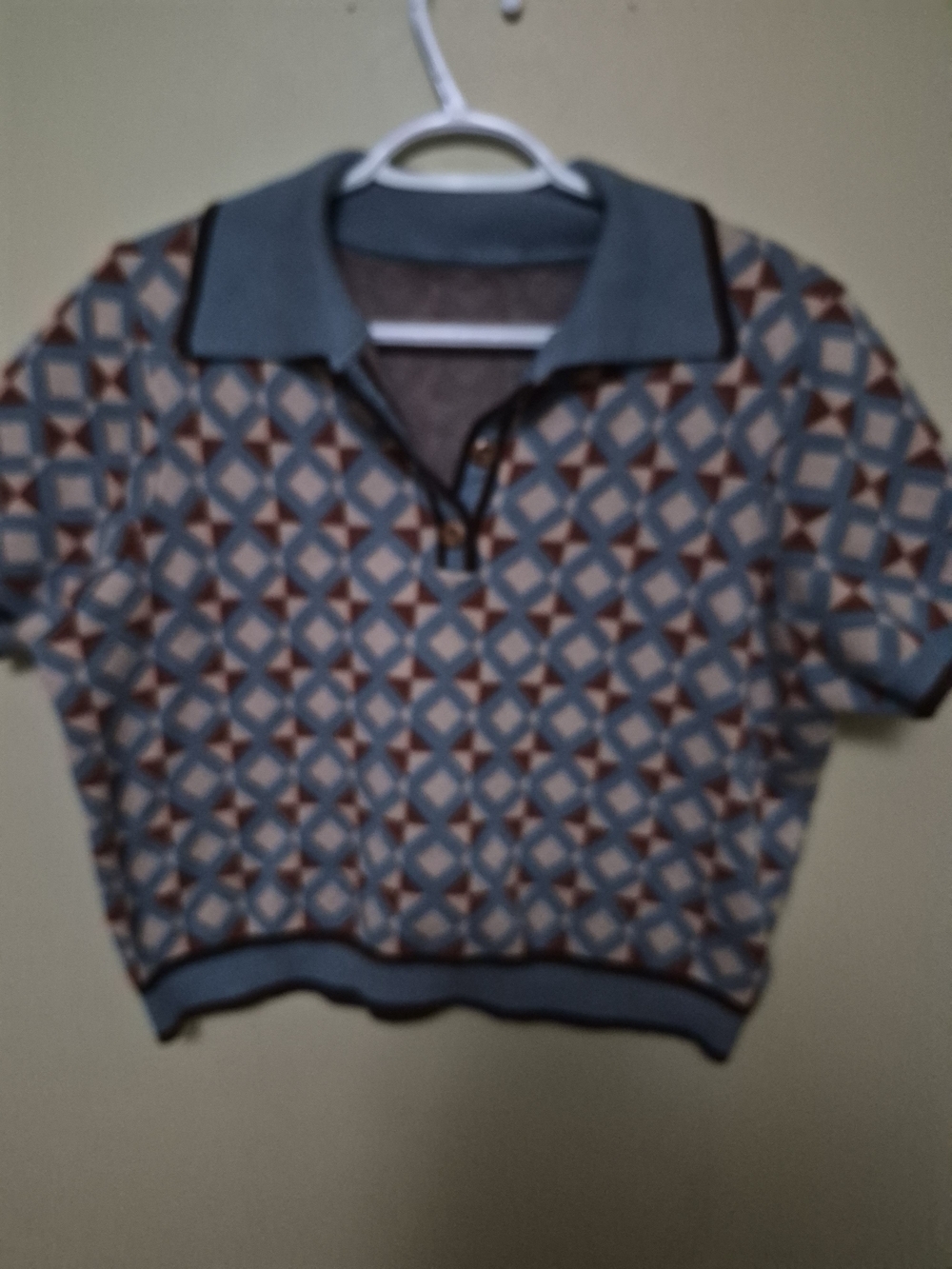 Cider Women’s Geometric V-Neck Cropped Short Sleeve Sweater in Blue and Brown